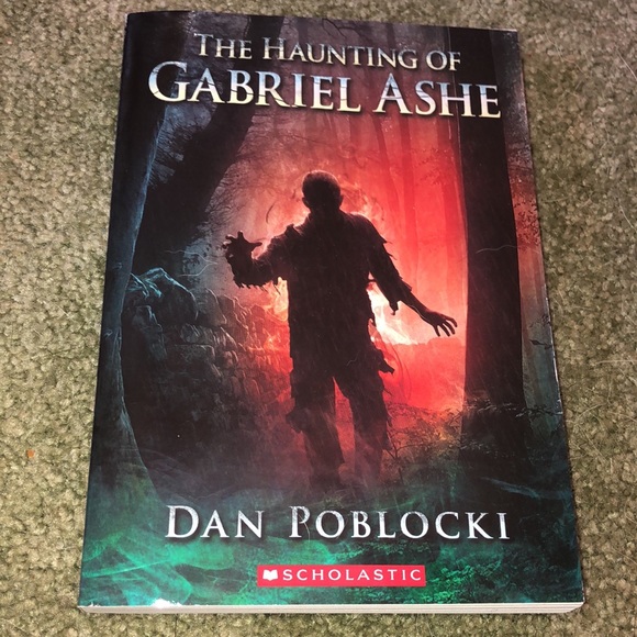 2 Books - Hidden Like Anne Frank & The Haunting of Gabriel Ashe - Picture 4 of 5
